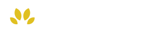 Scargill Junior School
